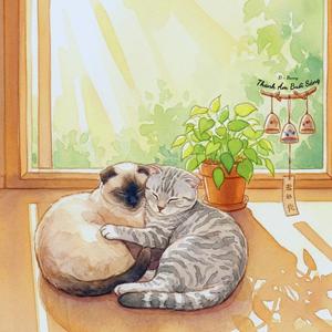 Thanh Âm Buổi Sáng