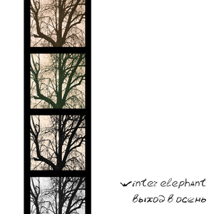 Грибное лето