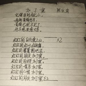 加了蜜（cover陈永淘）