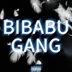 BIBABU GANG