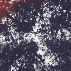 Like An Innocent (feat. Gal Musette)