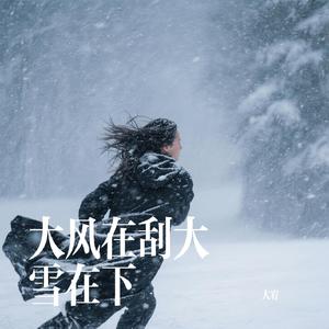 大风在刮大雪在下
