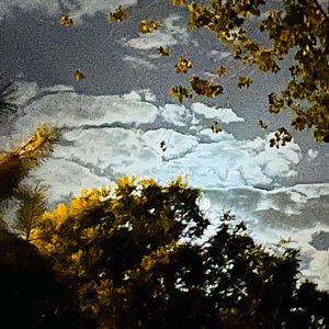 温热蝙蝠日记（吉他弹唱）