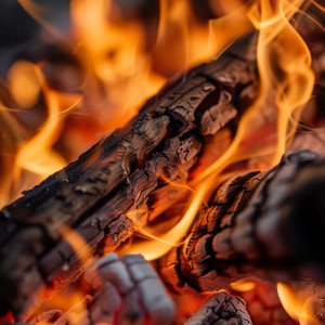 Quietud En El Resplandor De Las Llamas