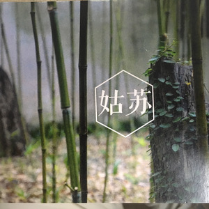 忆姑苏平江柳与月