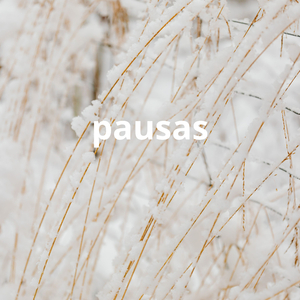 pausas