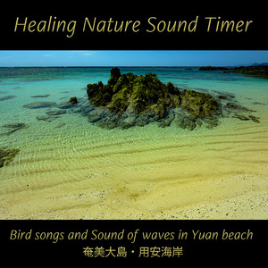 目覚めにイソヒヨドリの美声コーラス（奄美大島・用安海岸：30分間ヒーリングタイマー）