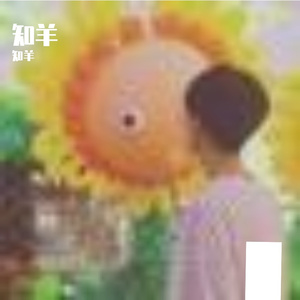 春日繁花里的轻快乐章