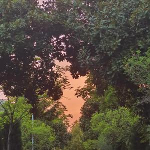 想去海边（cover 夏日入侵企画）