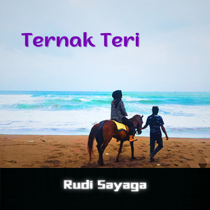 Ternak Teri