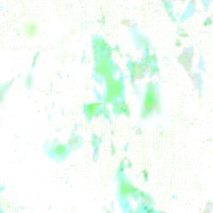 ʳ​͎​ᵉ​͎​♵​⃣​ᶜ​ʸ​ᶜ​ˡ​ᵉ​ʳ