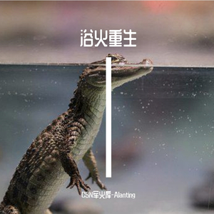 浴火重生freebeat