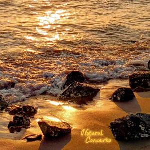 Chapter Two: 深蓝与红