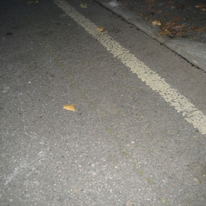 PARTYFÜRDICH (hamburg)