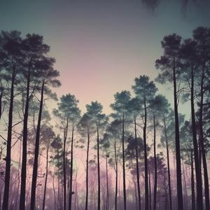 나는 안개와 친족 관계를 느낀다., by Twilight Dawn