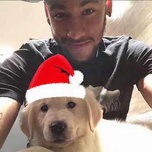 月光下的爱之承诺