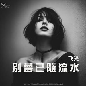 別夢已隨流水 (She's Not My Girl)