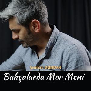 Bahçalarda Mor Meni