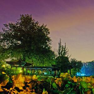 在这个快乐的世界