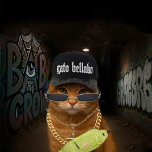 Gato Bellako