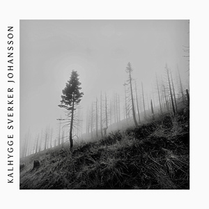 Kalhygge
