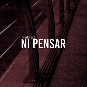 Ni Pensar