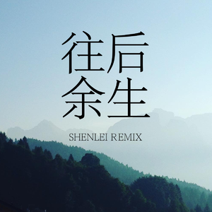 王贰浪/马良-往后余生（SHENLEI Remix）