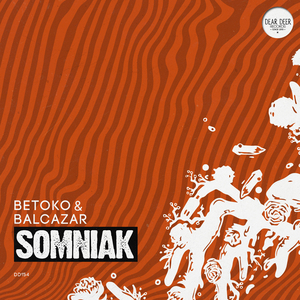 Somniak (Rework)