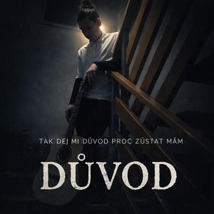 Důvod