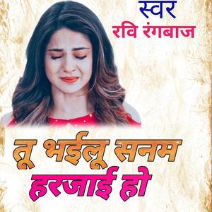 तु भईलु सनम हरजाई हो