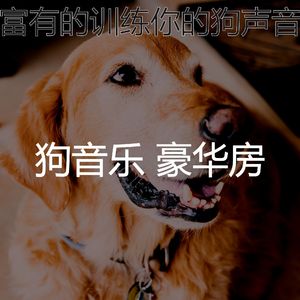 微妙的可爱的狗心情