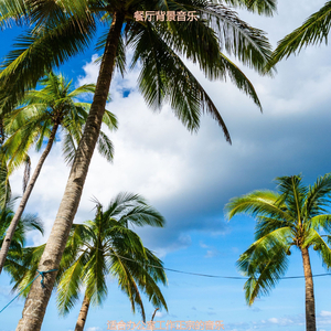 适合办公事务温柔的音乐