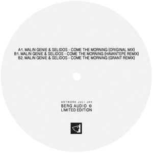 Come the Morning (Havantepe Remix)