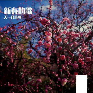 新春的歌
