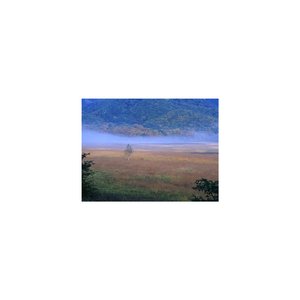 Sleep BGM Vibration and Mindfulness (Sleep BGM)