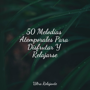 Resonancia De La Tierra