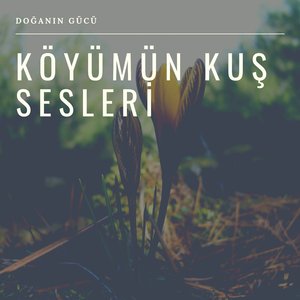 Köyümün Kuş Sesleri, Pt. 3