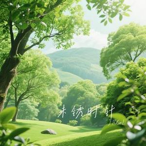 未锈时针