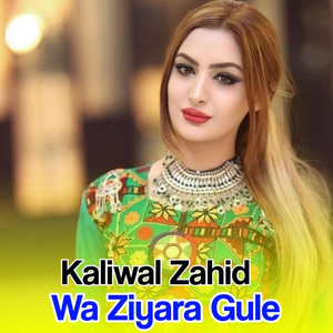 Wa Ziyara Gule