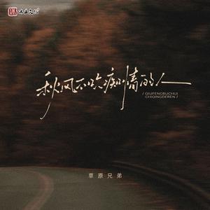 秋风不吹痴情的人