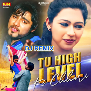 Tu High Level Ki Chhori (DJ Remix)