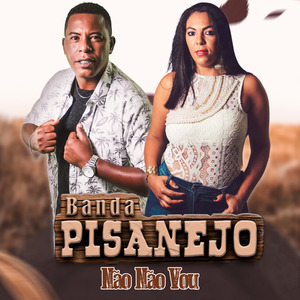 Não Não Vou (Cover)