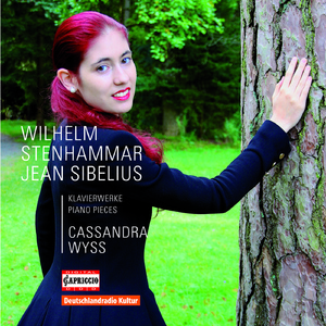 Piano Sonata No. 4 in G Minor:II. Romanza: Andante quasi adagio