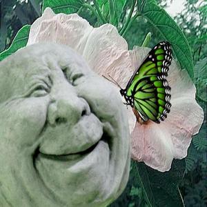 Buy oil for the large porch.How bad is this story? Ask Let me kill that dog that's nice Yes, it's easy