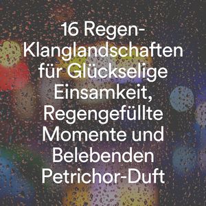 Regnerische Klavierreflexionen