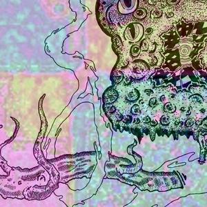 Soft Gamma Repeaters