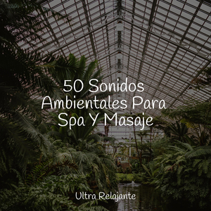 Susurro De Hojas De Primavera