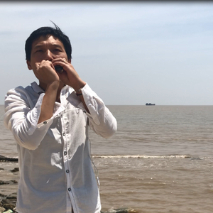 爱尔兰画眉 口琴版（翻自 藤田惠美）