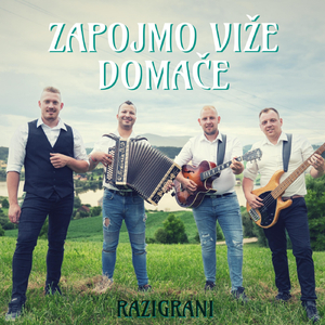 Zapojmo viže domače