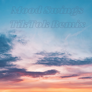 Mood Swings TikTok Remix
